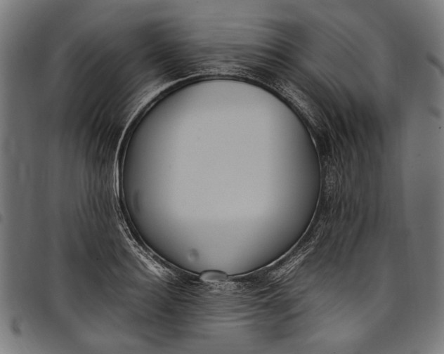 X0000097820940200803281118