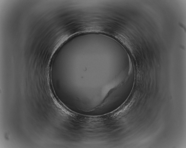 X0000097820941200803281118