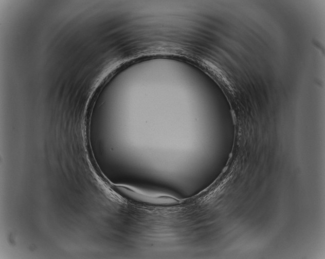 X0000097820942200803281118