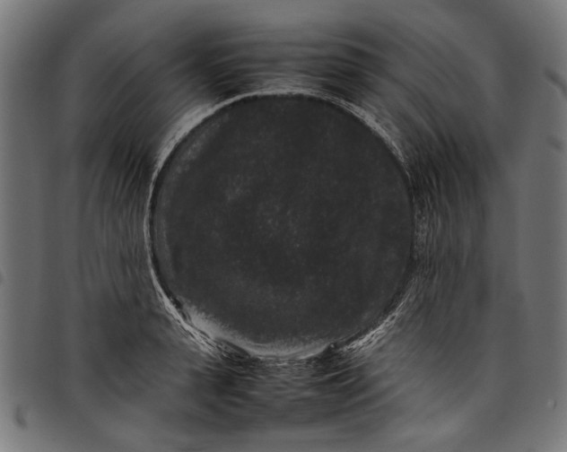 X0000097820943200803281118