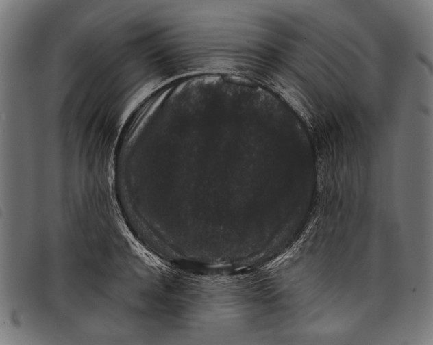 X0000097820944200803281118