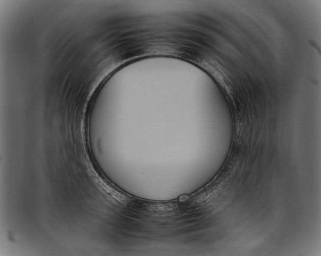 X0000097820947200803281118