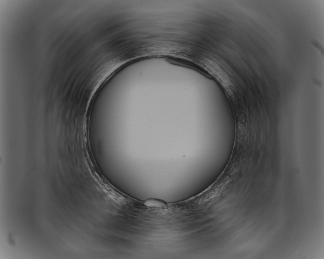 X0000097820948200803281118