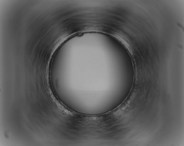 X0000097820949200803281118