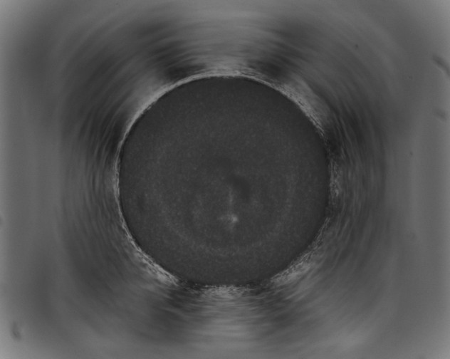 X0000097820950200803281118