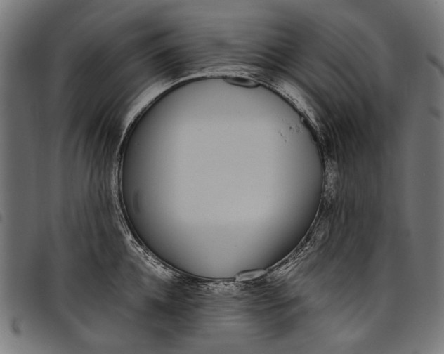 X0000097820952200803281118