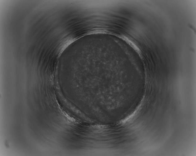 X0000097820953200803281118