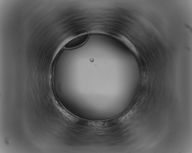 X0000097820955200803281118