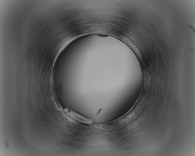 X0000097820956200803281118