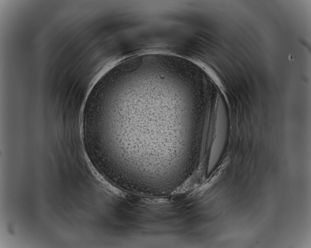 X0000097820957200803281118