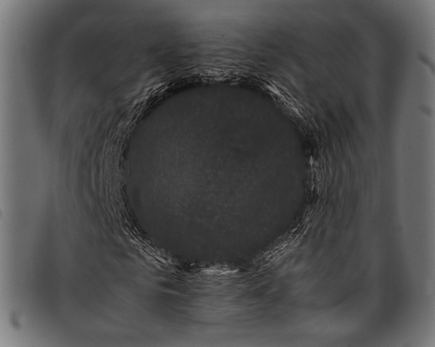 X0000097820961200803281118