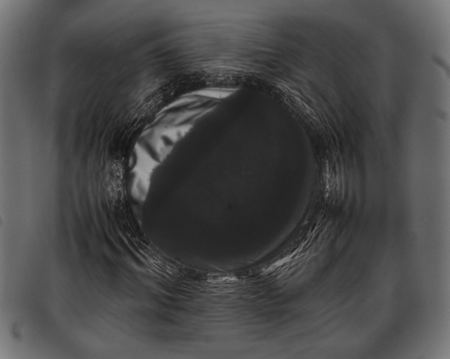 X0000097820964200803281117