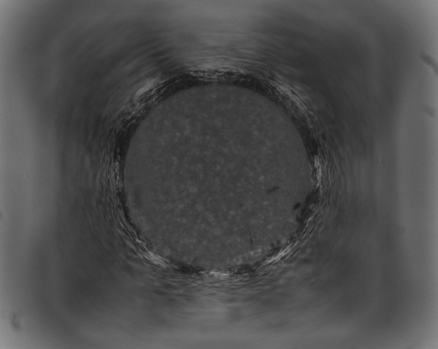 X0000097820965200803281117