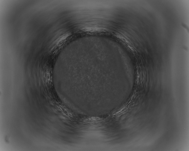 X0000097820966200803281117