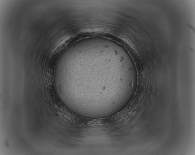 X0000097820967200803281117