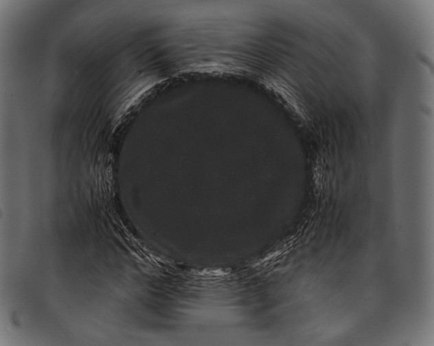 X0000097820968200803281117