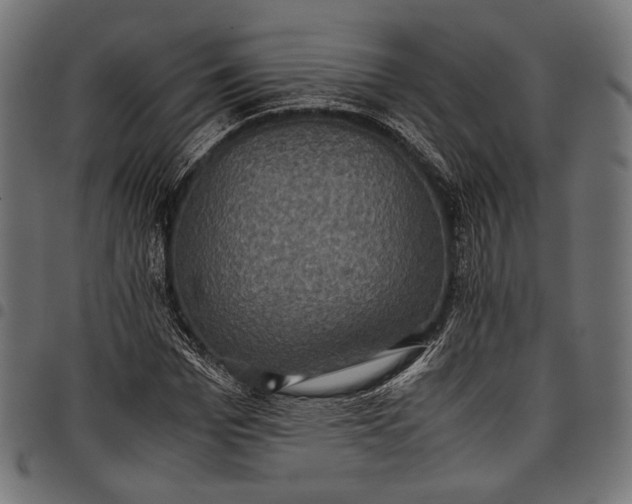 X0000097820969200803281117