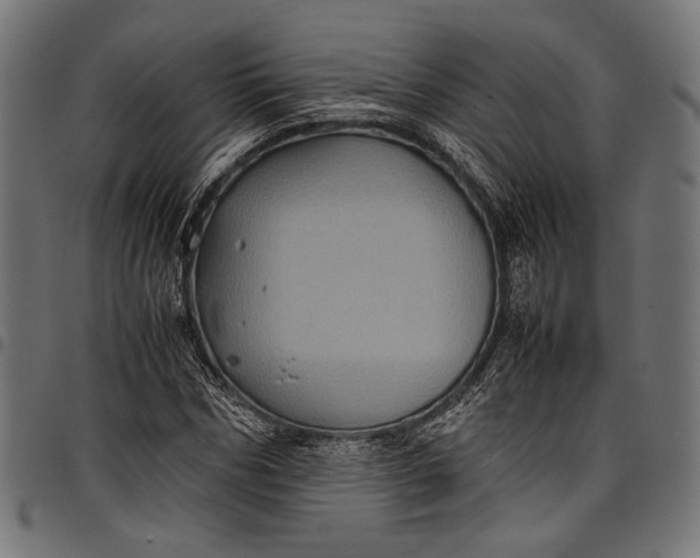 X0000097820970200803281117