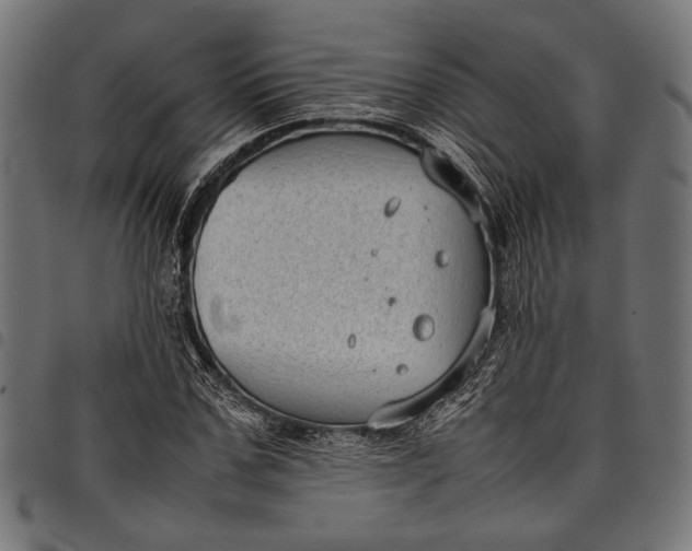 X0000097820971200803281117