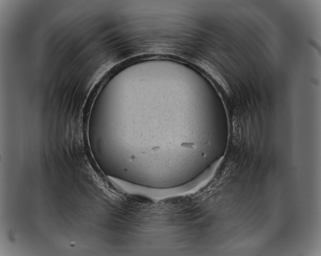 X0000097820972200803281117