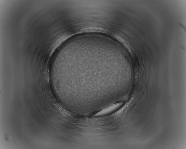 X0000097820973200803281117