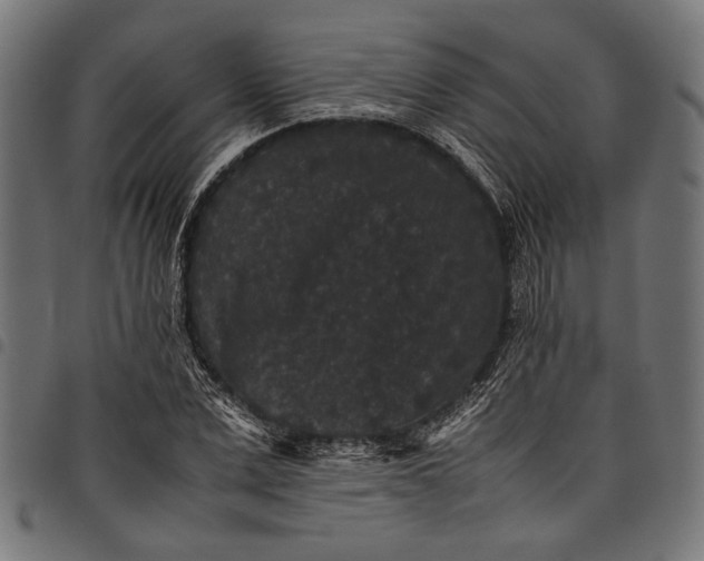 X0000097820975200803281117