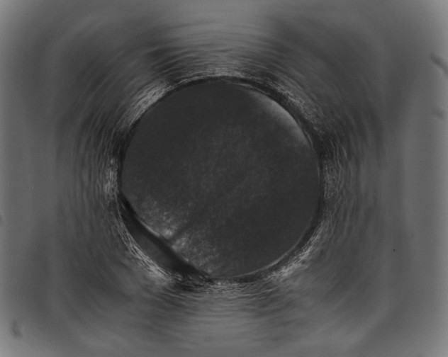 X0000097820977200803281117