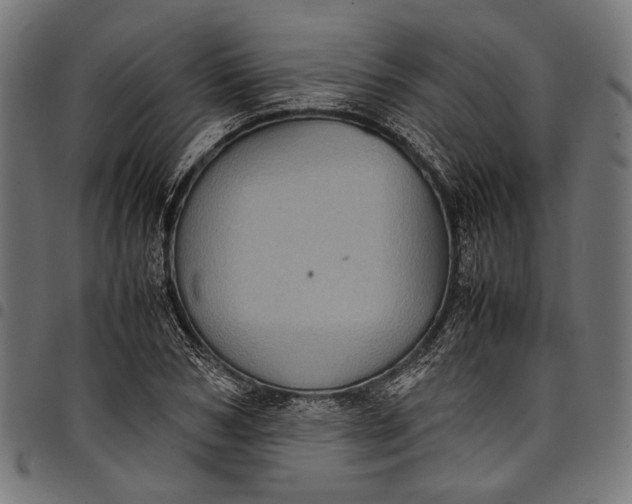 X0000097820978200803281117