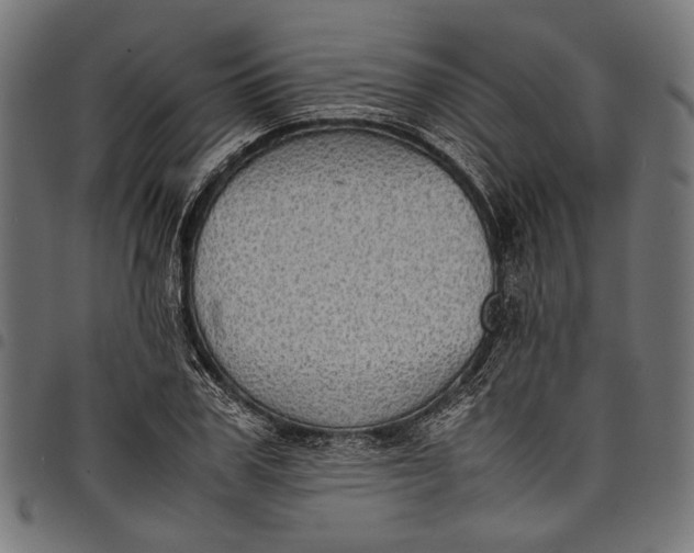 X0000097820979200803281117