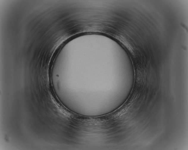 X0000097820980200803281117