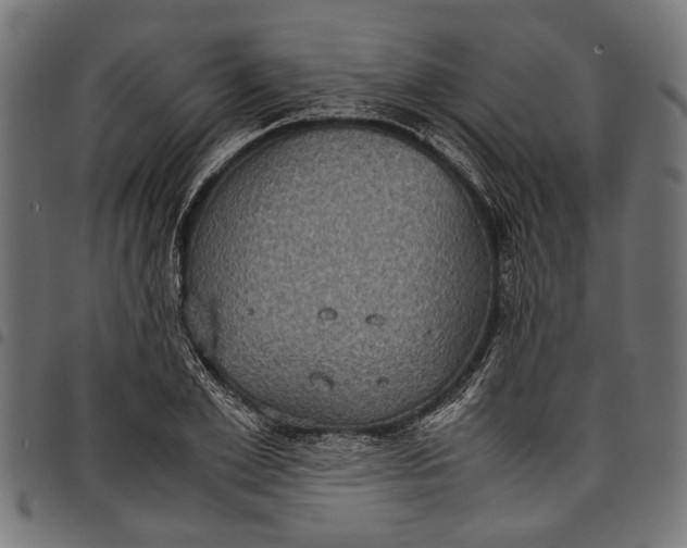 X0000097820981200803281117