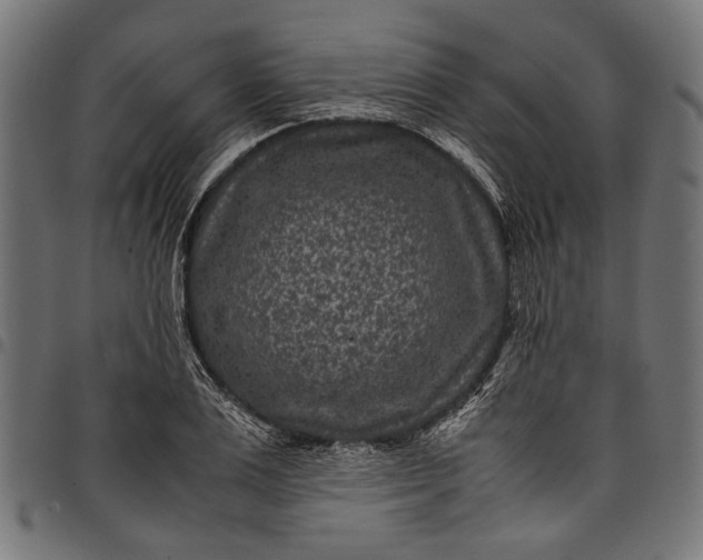 X0000097820983200803281117