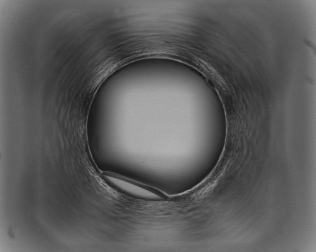 X0000097820985200803281117