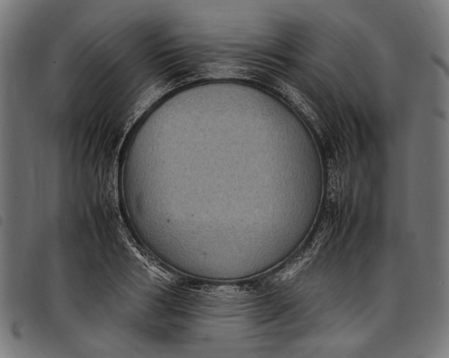 X0000097820986200803281117