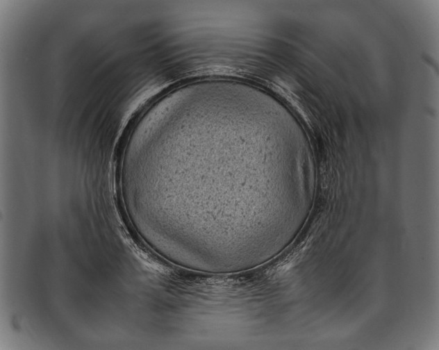 X0000097820987200803281117