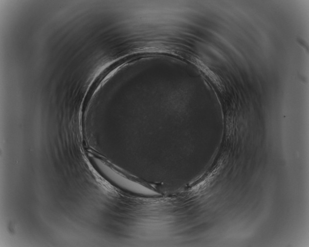 X0000097820988200803281117