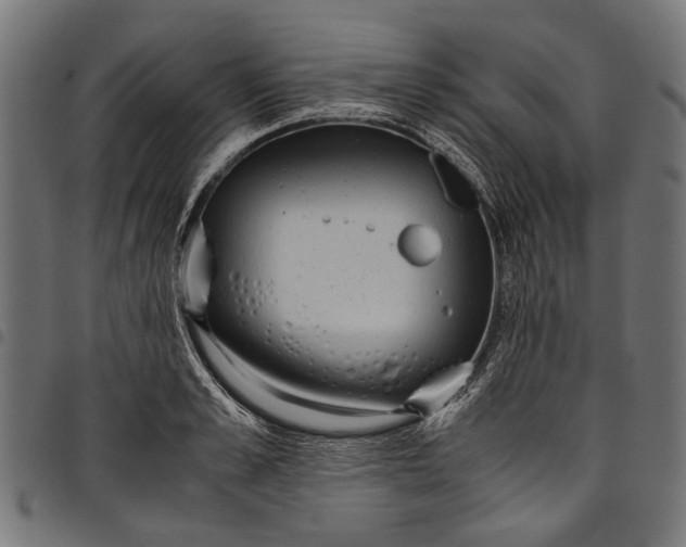 X0000097820989200803281117