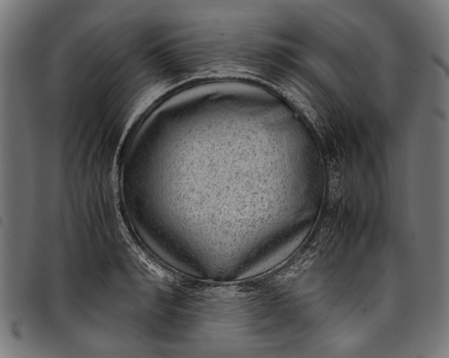 X0000097820990200803281117