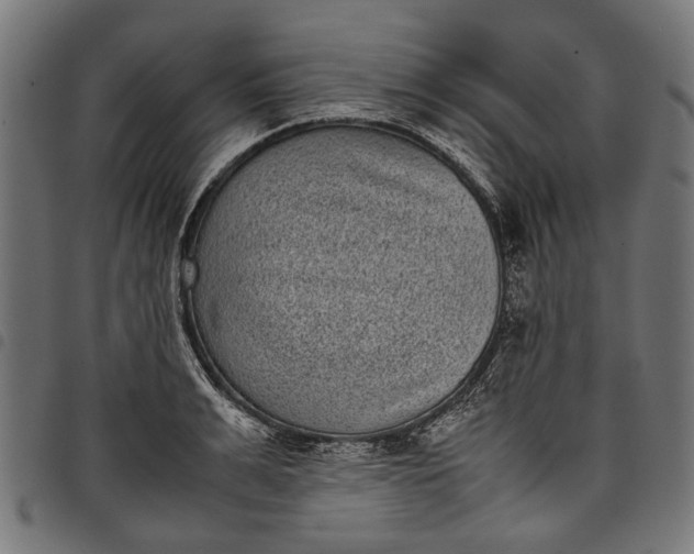 X0000097820991200803281117