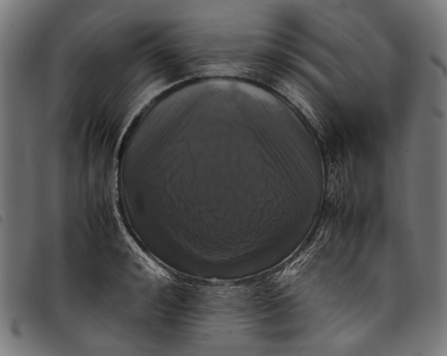 X0000097820992200803281117