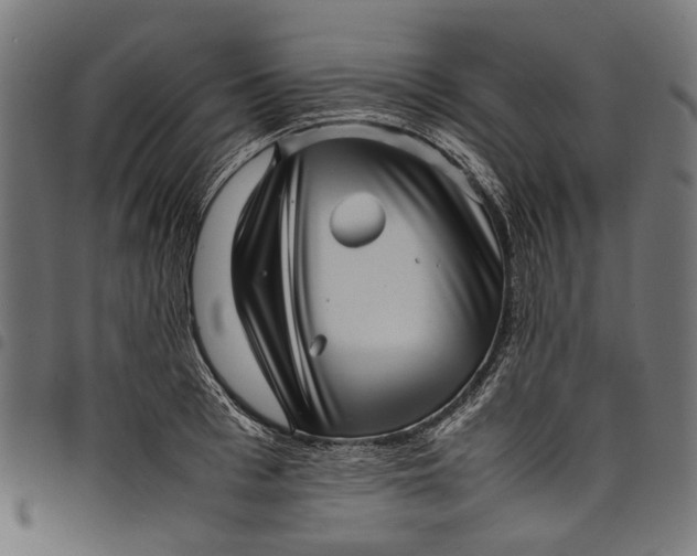 X0000097820993200803281117