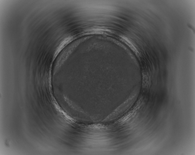 X0000097820994200803281117