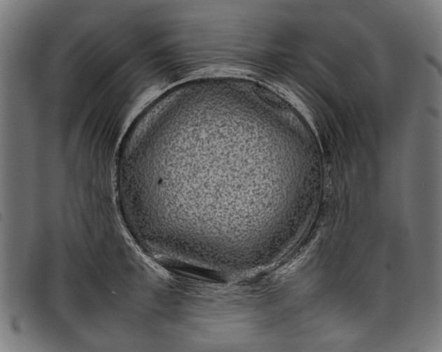 X0000097820997200803281117