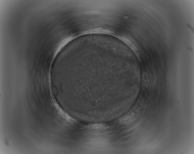 X0000097820998200803281117