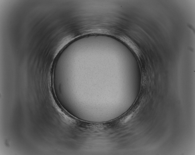 X0000097820999200803281117