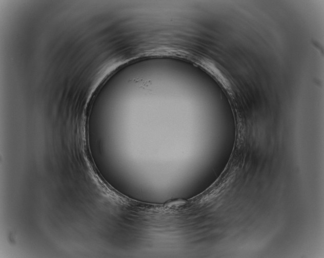 X0000097821000200803281117