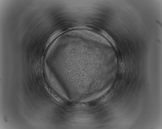 X0000097821002200803281117