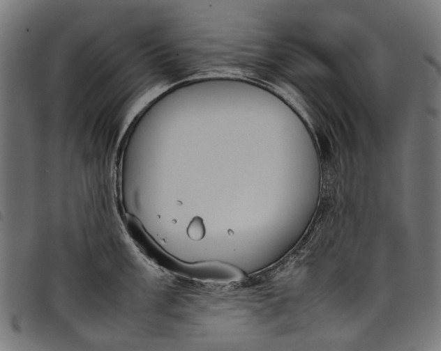 X0000097821003200803281117