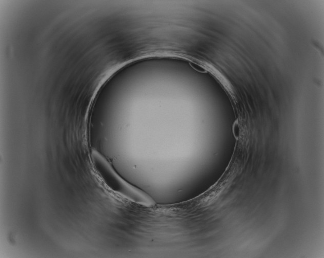 X0000097821004200803281117