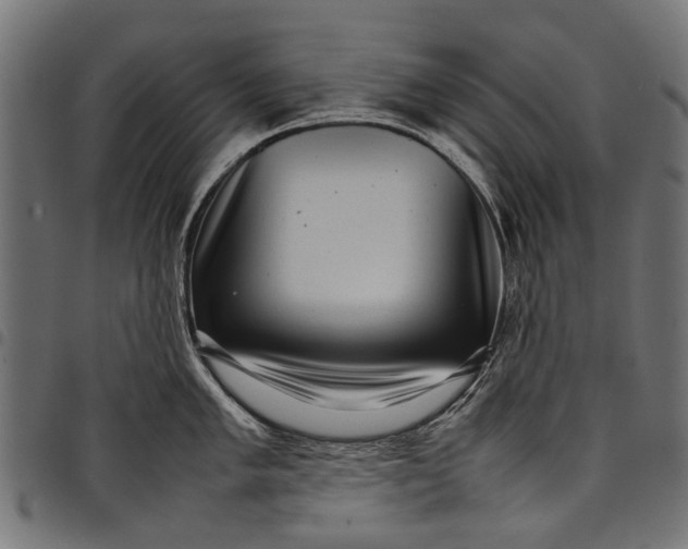 X0000097821005200803281117